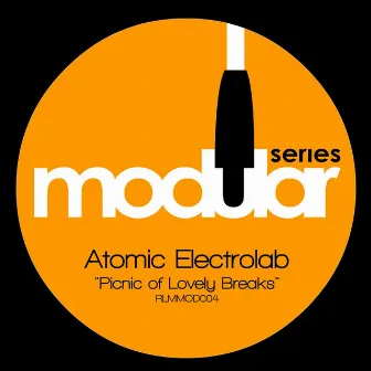 Picnic of Lovely Breaks by Atomic Electrolab