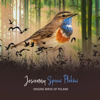 Jesienny Spiew Ptaków by Singing Birds of Poland