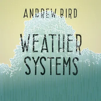 Weather Systems by Andrew Bird