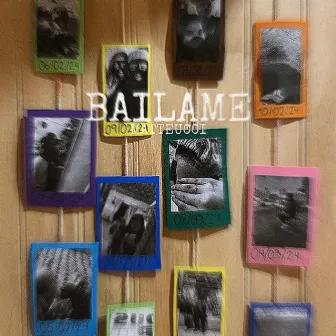 Bailame by Matteucci