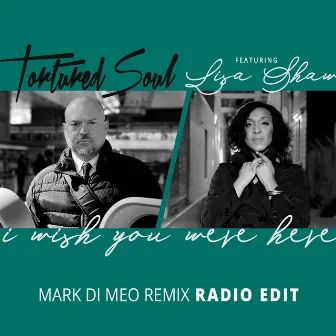 I Wish You Were Here (Mark Di Meo Mix Radio Edit) by Mark Di Meo