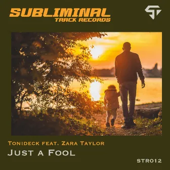 Just a Fool by Tonideck