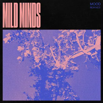 MOOD (Remixes) by Mild Minds