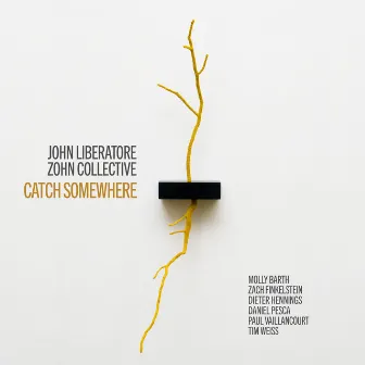 John Liberatore: Catch Somewhere by John Liberatore