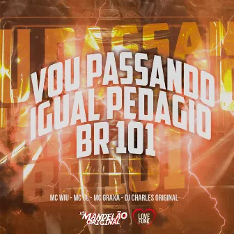 Vou Passando Igual Pedagio Br 101 by MC GL