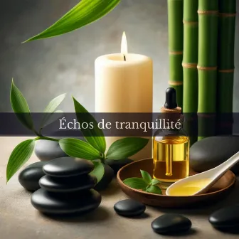 Echoes of Tranquility: Ultimate Relax Experience, Soothing Ambient Massage Music for Deep Relaxation & Meditation by Ensemble de Musique Zen Relaxante