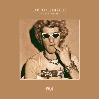 Wot by Captain Sensible