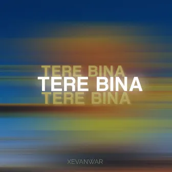 Tere bina (Acoustic Version) by xevanwar