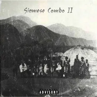 Siamese Combo II by Man Q