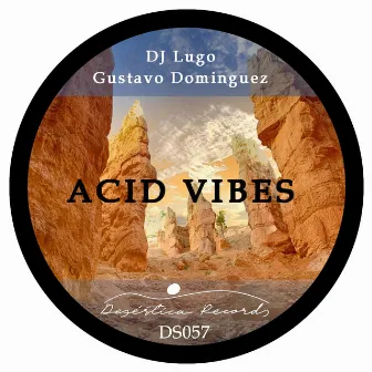 Acid Vibes by DJ Lugo