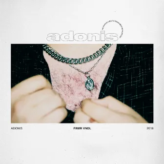 Adonis by Former Vandal