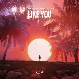 Like You by Lowkey