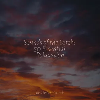 Sounds of the Earth: 50 Essential Relaxation by Kinderliederbande