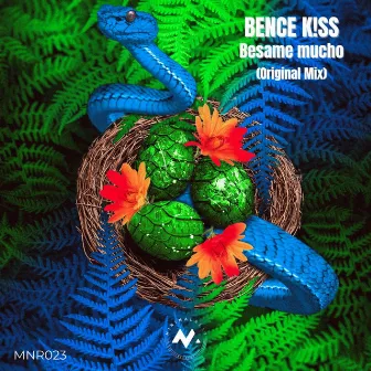 Besame Mucho by Bence K!SS