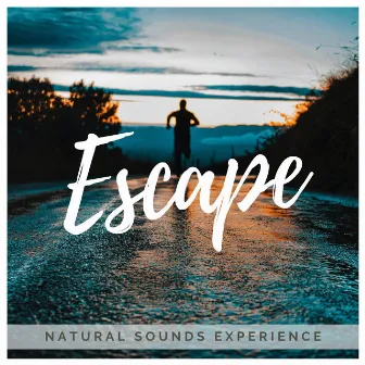 Escape by Natural Sounds Experience