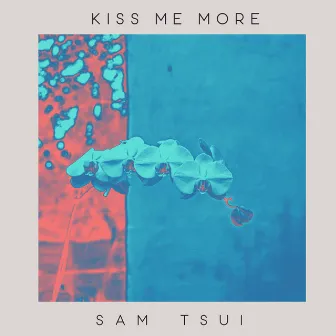 Kiss Me More (Piano Acoustic) by Sam Tsui