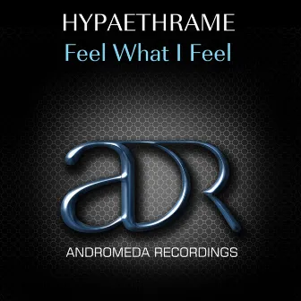 Feel What I Feel by Hypaethrame