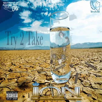 Try 2 Take by Ion Dadon