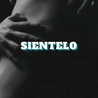 Sientelo (Remix) by Fickxer