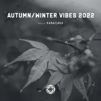 Autumn / Winter Vibes 2022 (DJ Mix) by 