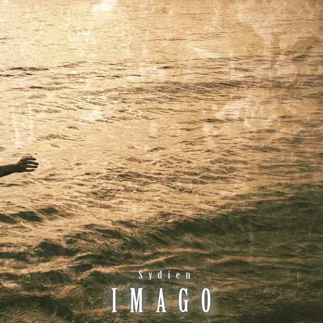 Imago