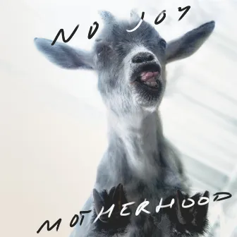 Motherhood by No Joy