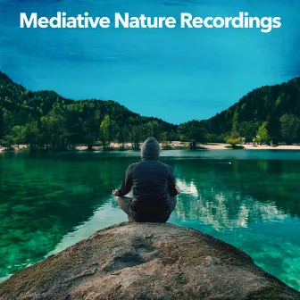 Mediative Nature Recordings by Unknown Artist