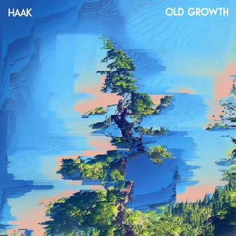 Old Growth by haak