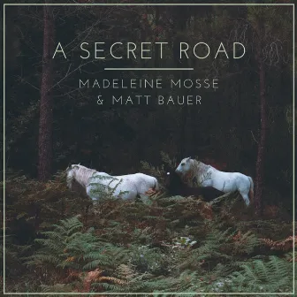 A Secret Road by Matt Bauer