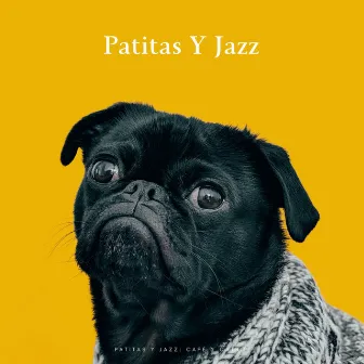 Patitas Y Jazz: Café Y Catnip by Mi Café House Smooth Jazz