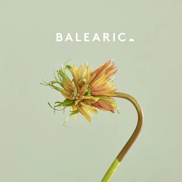 Sunflower - Balearic Dub