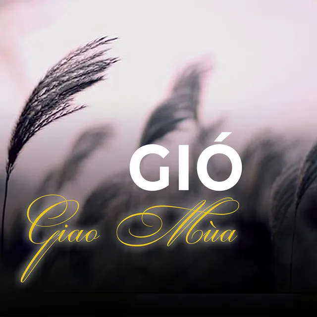 Gió giao mùa