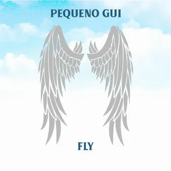 Fly by Pequeno Gui