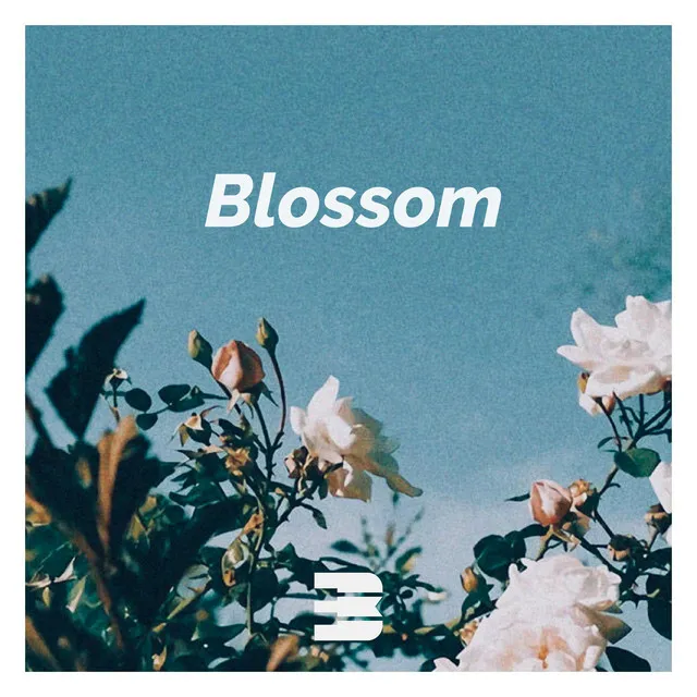 Blossom