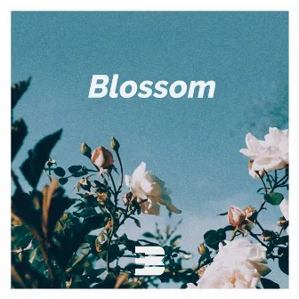 Blossom by BlacKeys