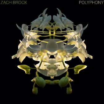 Polyphony by Zach Brock