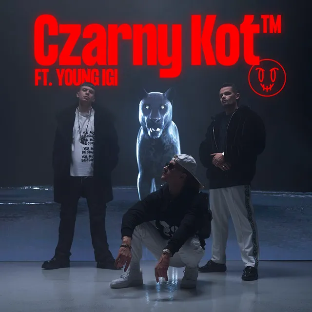 CZARNY KOT