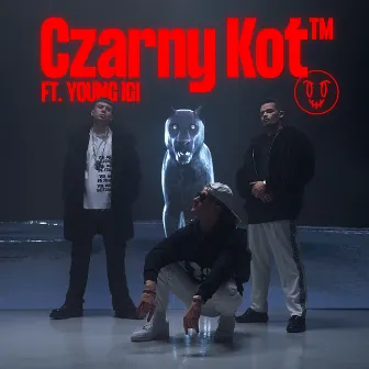 CZARNY KOT by TUZZA Globale