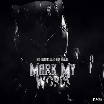 Mark My Words by Ali Cashius Jr