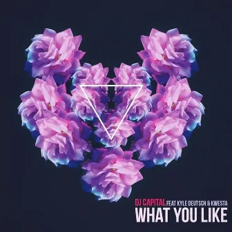 What You Like by DJ Capital