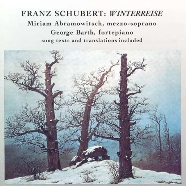 Winterreise, Op. 89, D. 911: No. 9. Irrlicht