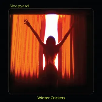 Winter Crickets by Sleepyard