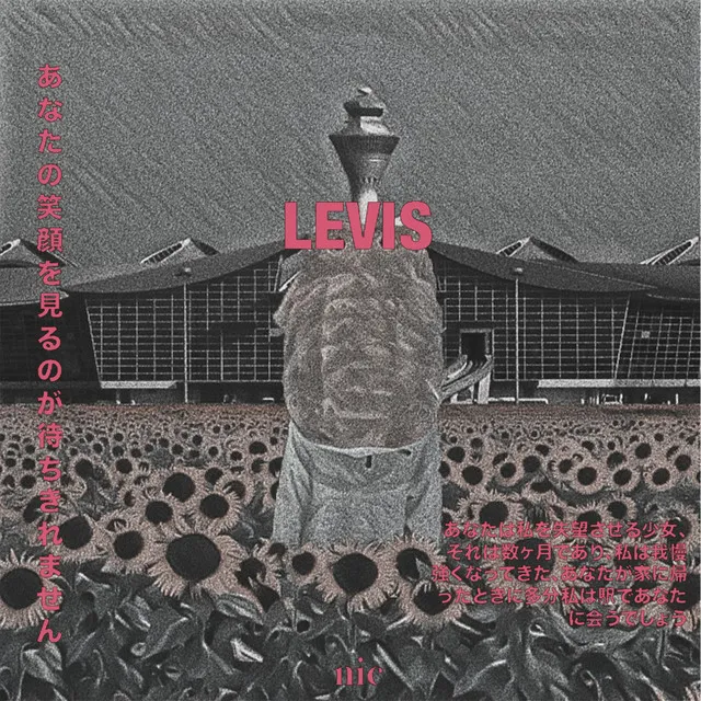 Levis - stripped