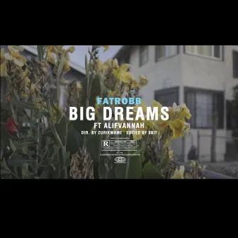 Big Dreams by Fat Rob