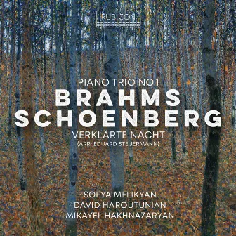 Brahms: Piano Trio No. 1 in B Major, Op. 8 (1889 Version): III. Adagio by Sofya Melikyan