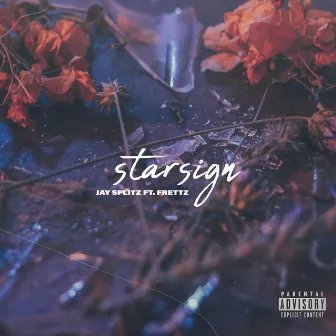 Starsign by Jay Splitz