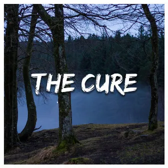 The Cure by Suzanne Real