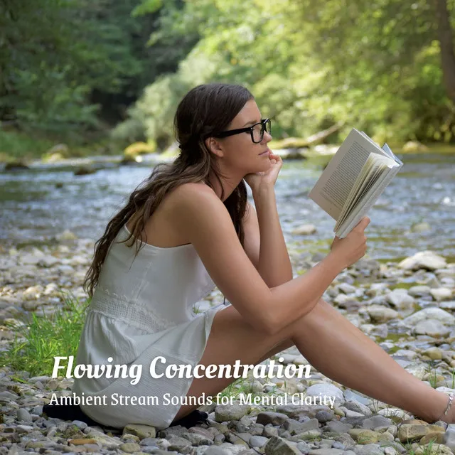 Flowing Concentration: Ambient Stream Sounds for Mental Clarity