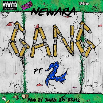 Gang, Pt. 2 by New Ara