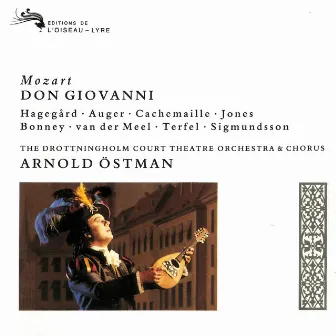 Mozart: Don Giovanni by Nico Van Der Meel